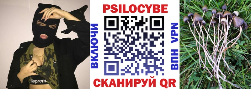 Псилоцибиновые грибы GOLDEN TEACHER  Стерлитамак 